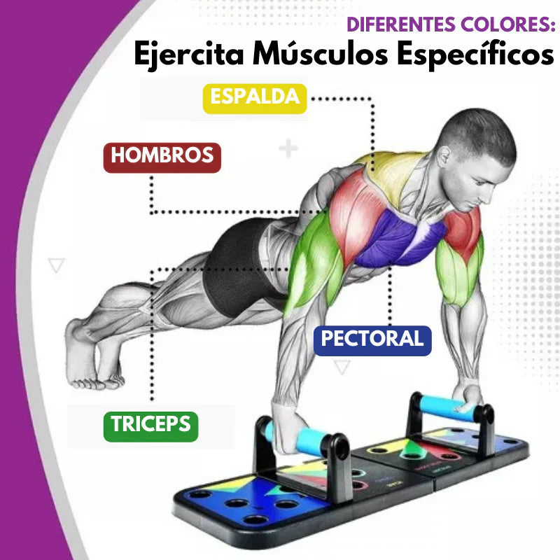 Tabla Push Up Flexiones Y Ejercicios🏋️